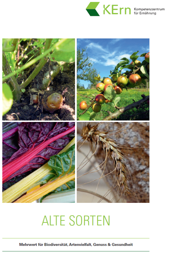 Alter Sorten Kompendium Titelbild, Viererlei mit Kartoffel, Äpfel, Mangold, Landweizen