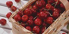 rote Kirschen mit Stiel in einem Korb, daneben einzelene Kirschen 
